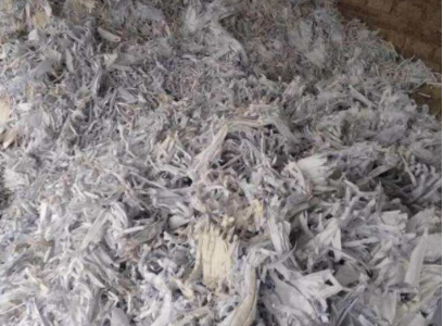 1570699189690545.jpg 10.jpg